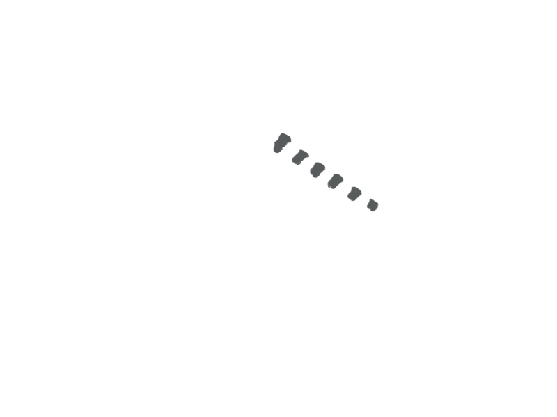 SCHIST