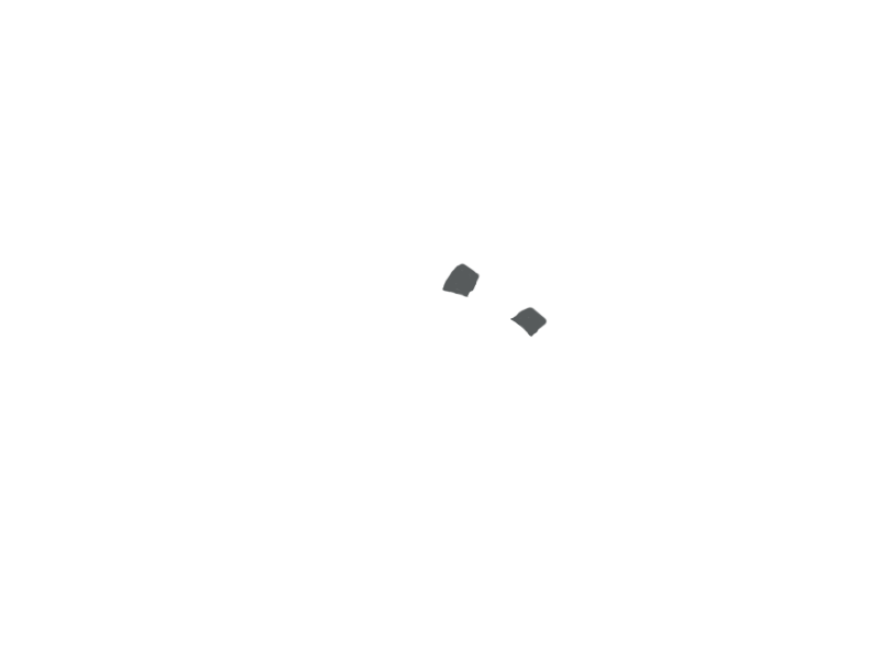 SCHIST