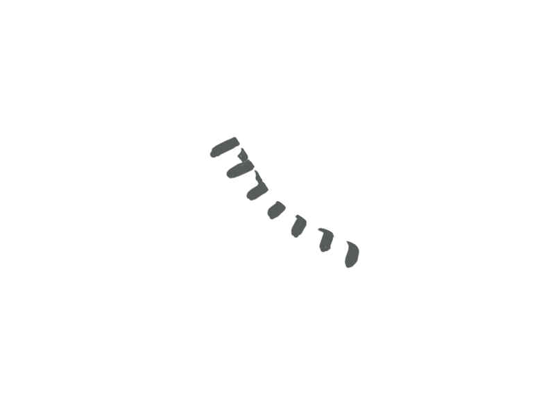 SCHIST