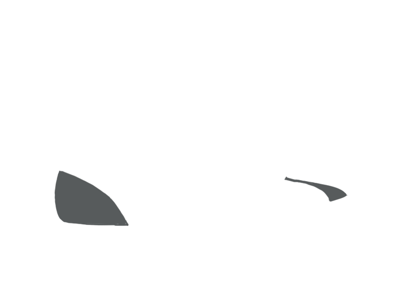 SCHIST LEATHER