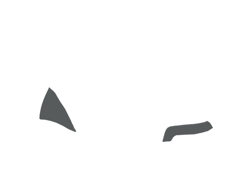 SCHIST LEATHER