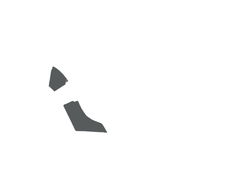 SCHIST LEATHER