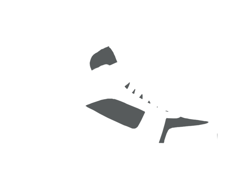 SCHIST LEATHER