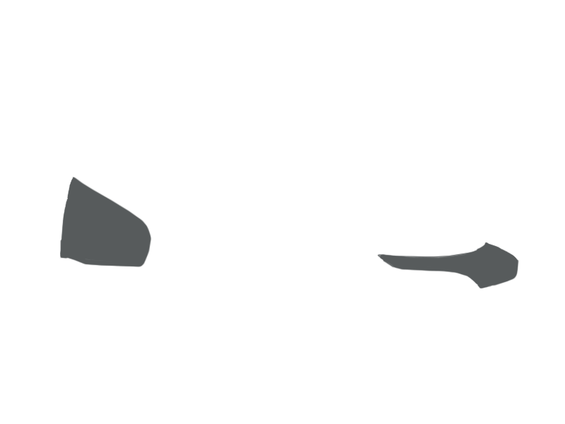SCHIST LEATHER