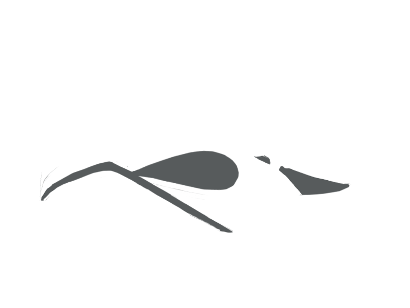 SCHIST LEATHER