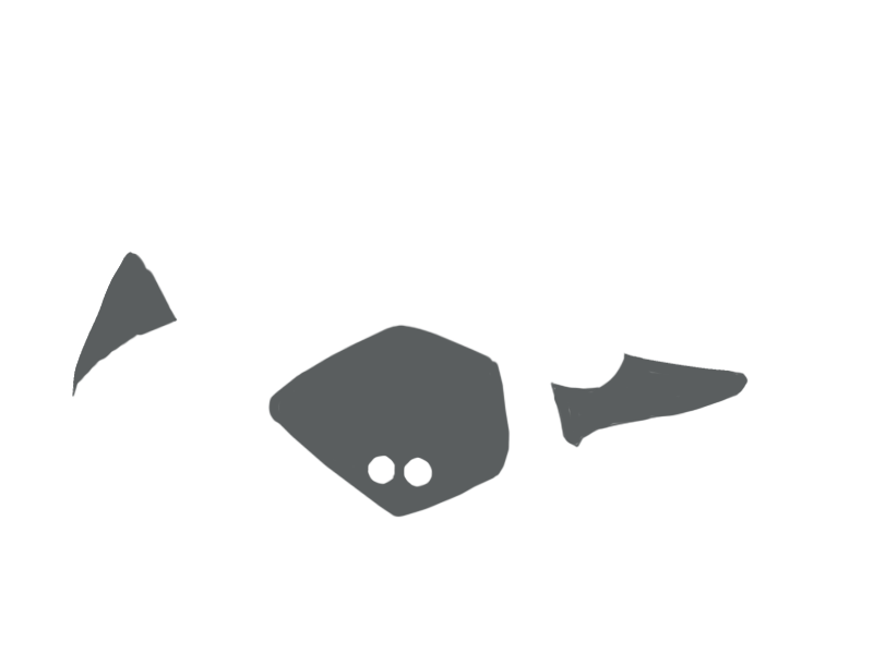 SCHIST LEATHER