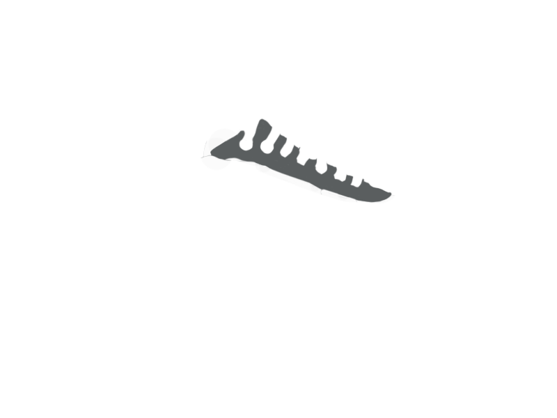 SCHIST LEATHER