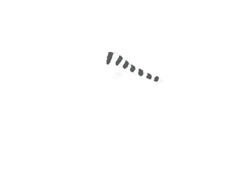 SCHIST