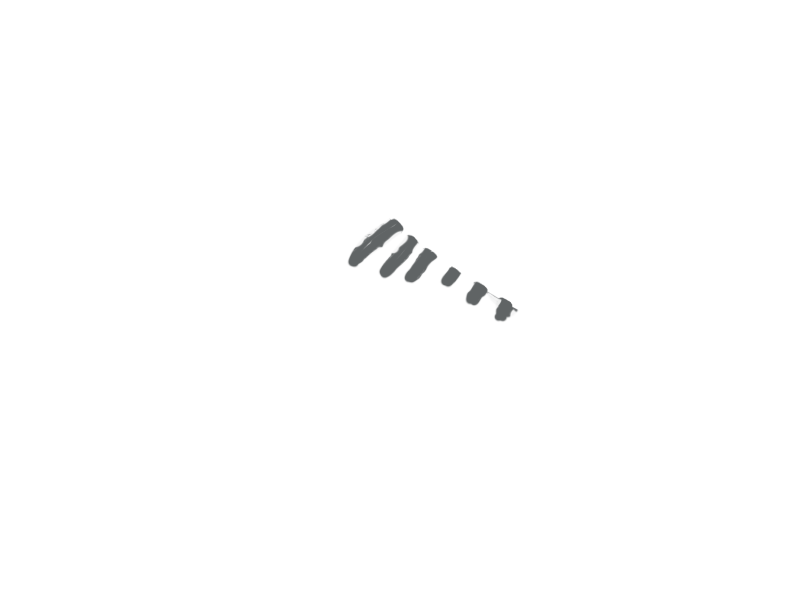 SCHIST