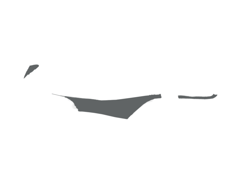 SCHIST LEATHER