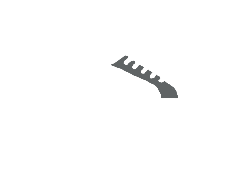 SCHIST LEATHER