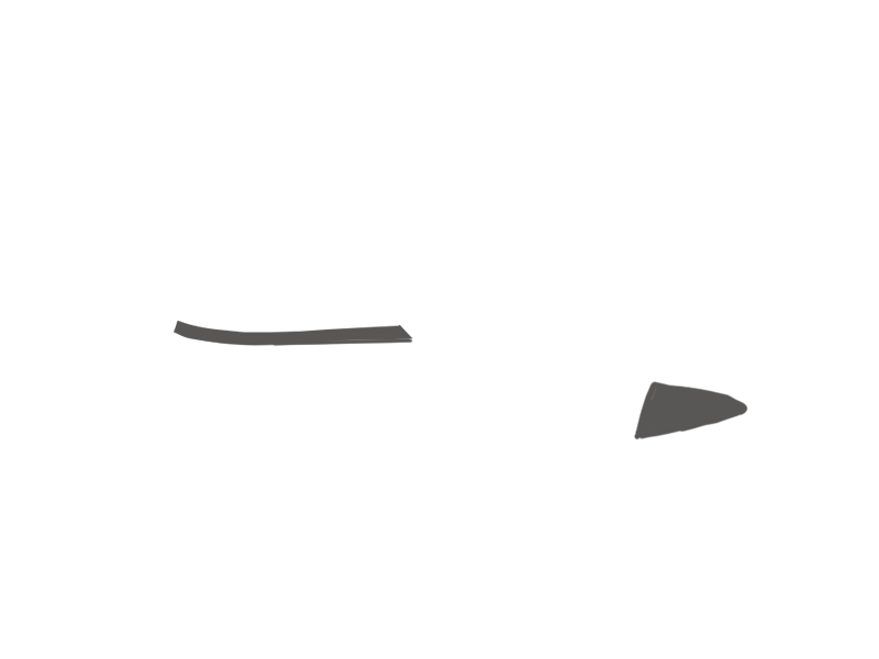 SHARK LEATHER