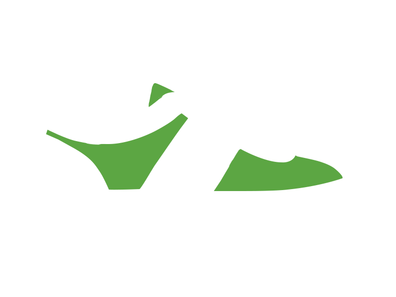 LIME LEATHER