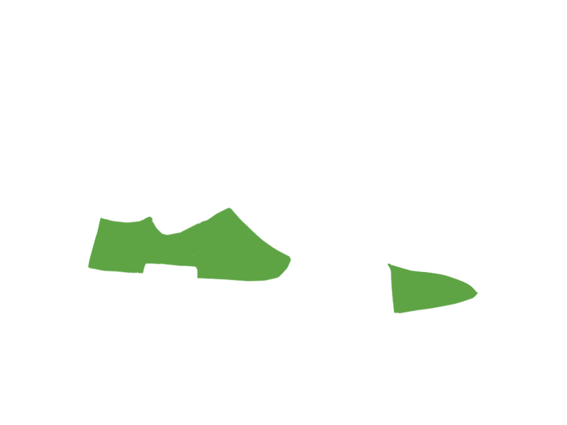 LIME LEATHER