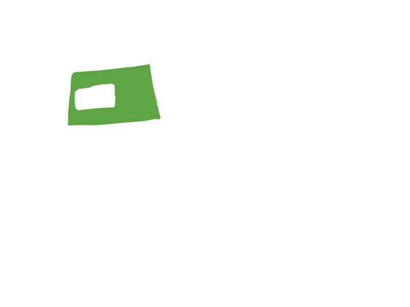 LIME LEATHER