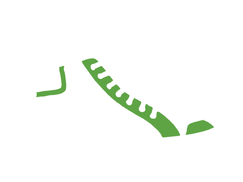 LIME LEATHER