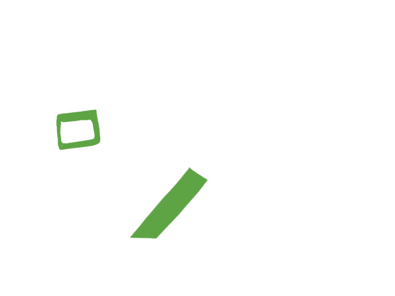 LIME LEATHER
