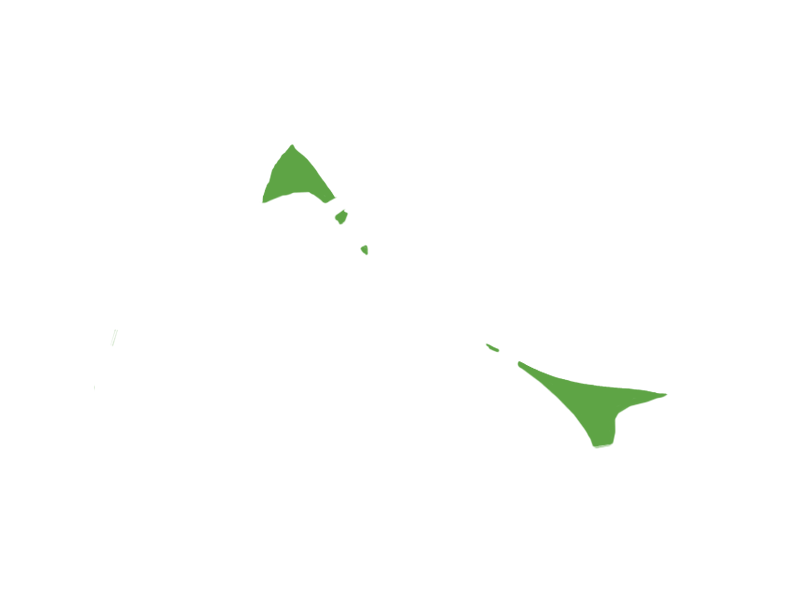 LIME LEATHER