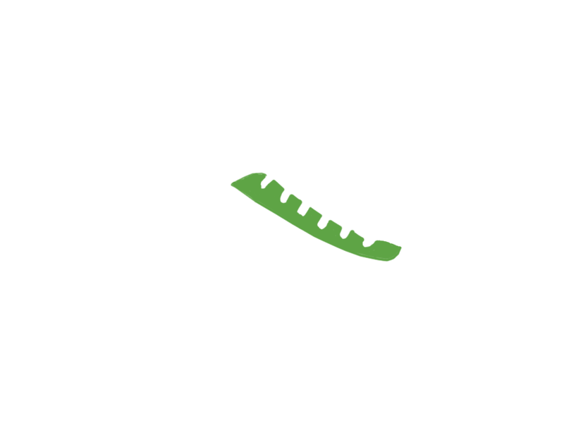 LIME LEATHER