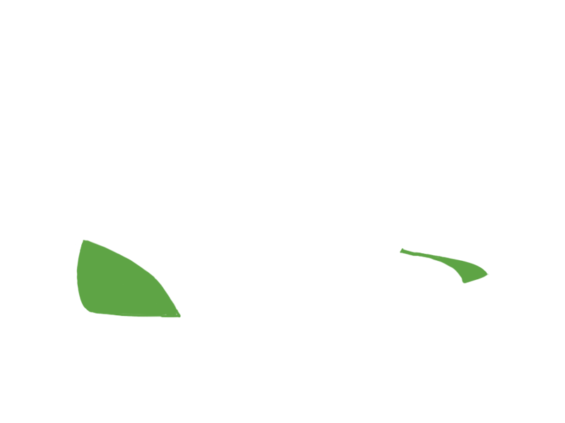 LIME LEATHER
