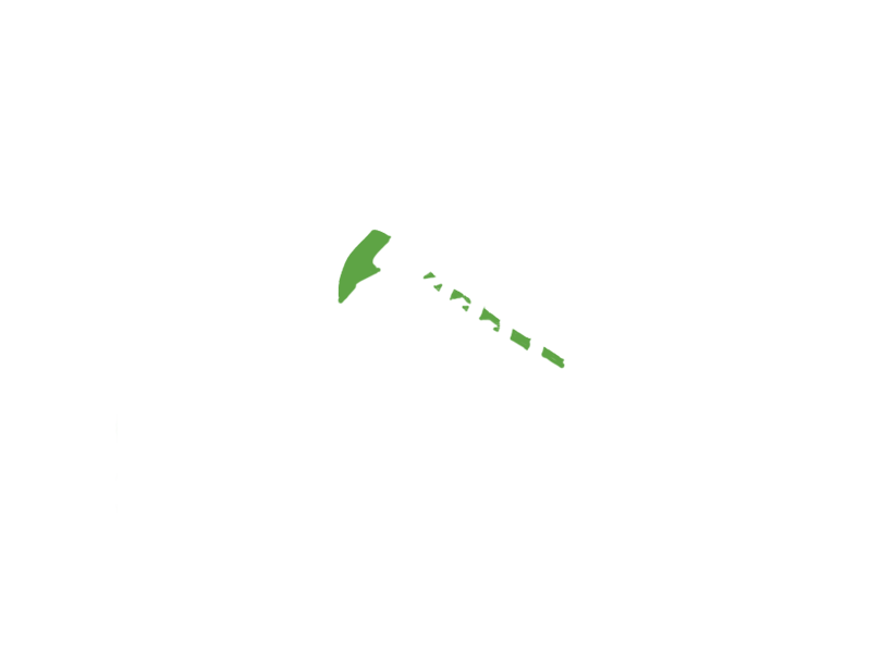 LIME LEATHER