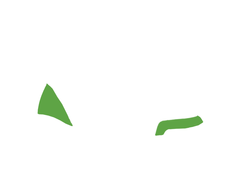 LIME LEATHER