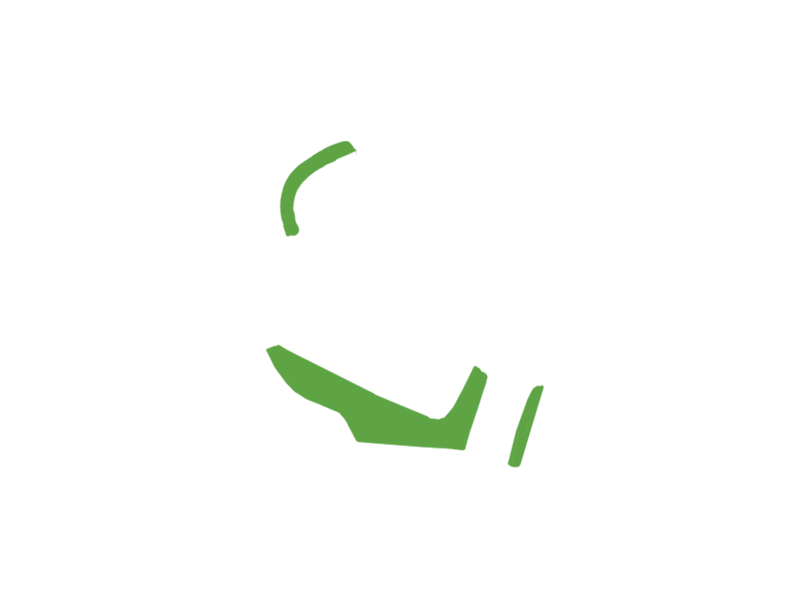 LIME LEATHER