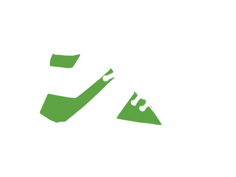 LIME LEATHER