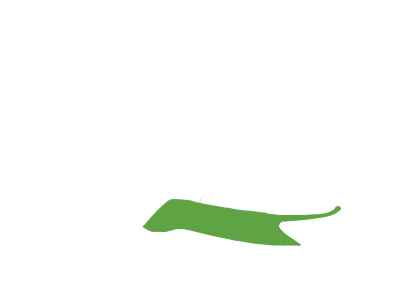 LIME LEATHER