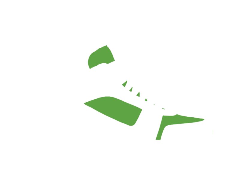 LIME LEATHER