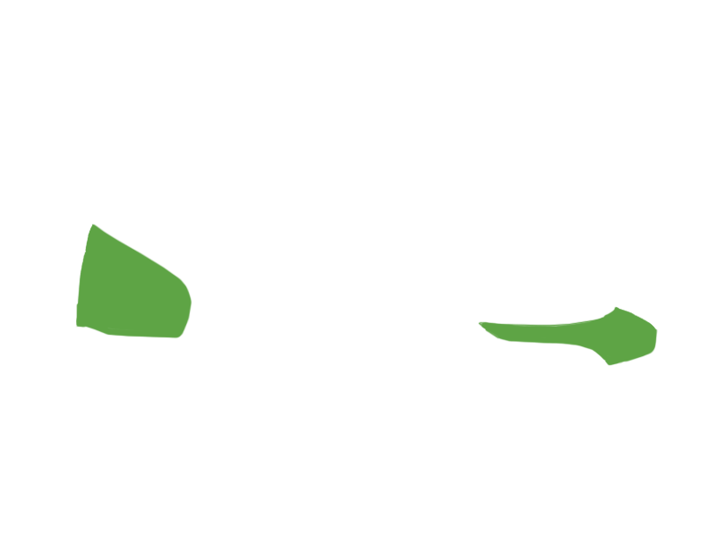 LIME LEATHER
