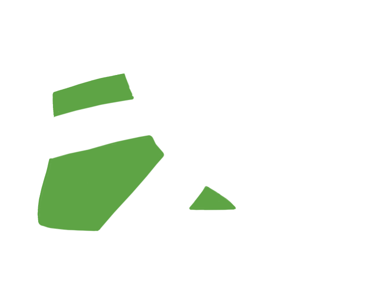 LIME LEATHER