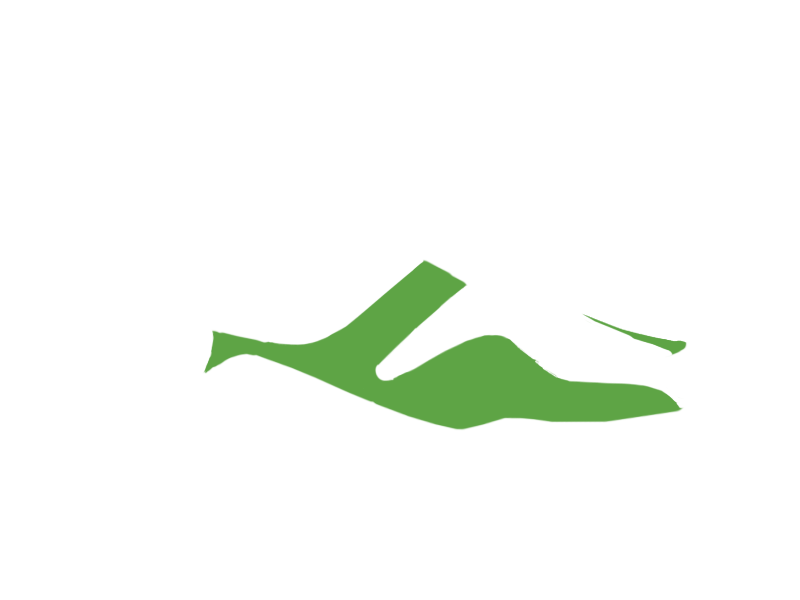 LIME LEATHER