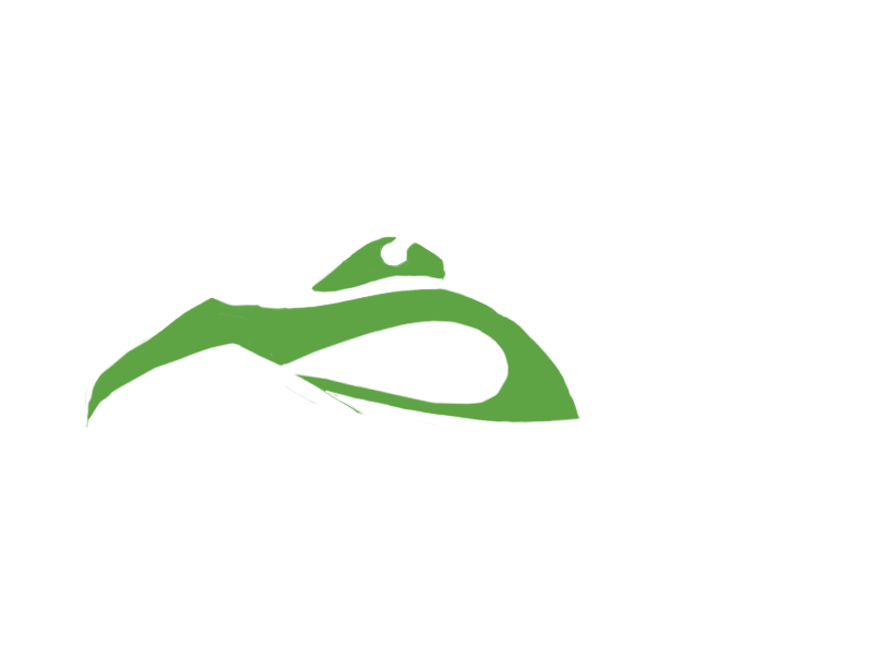 LIME LEATHER