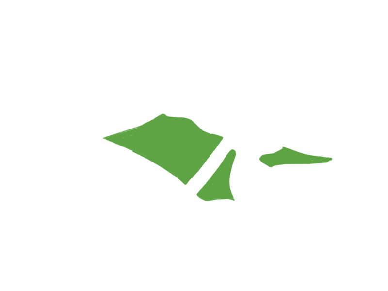 LIME LEATHER