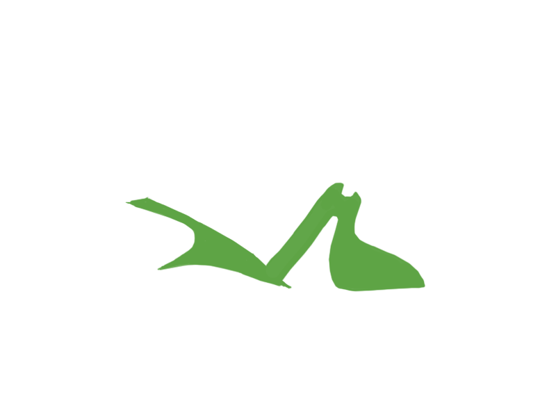 LIME LEATHER