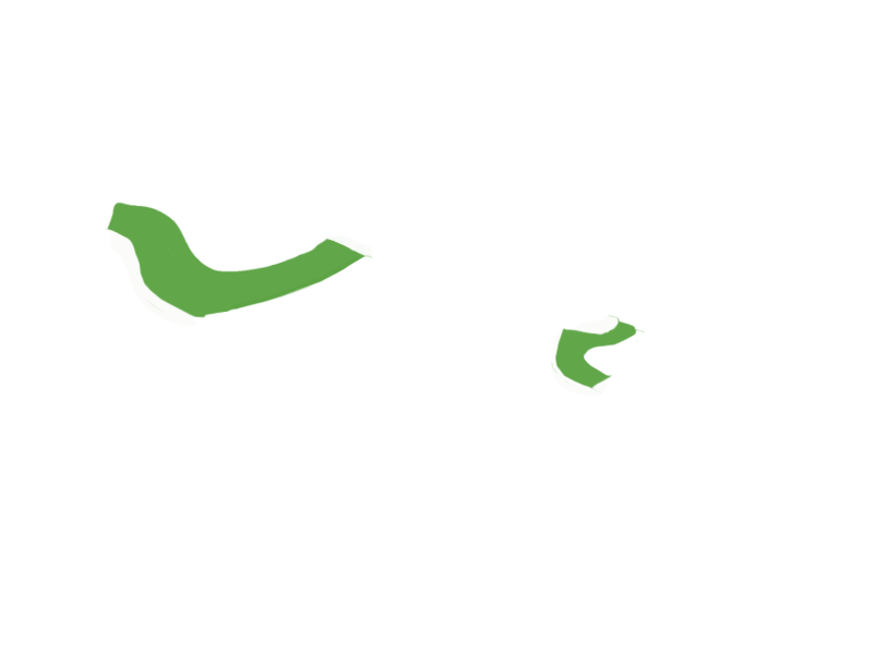 LIME LEATHER