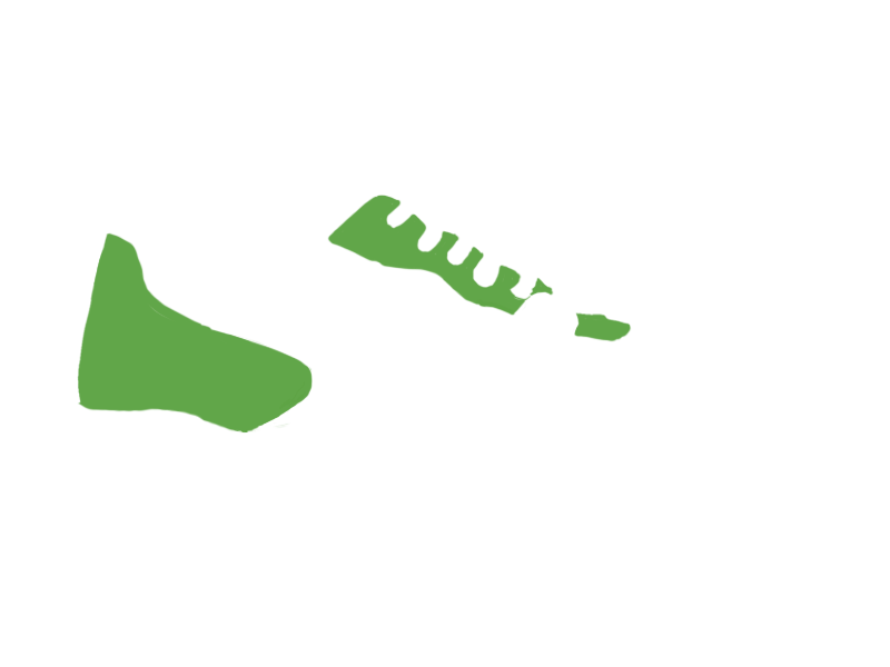LIME LEATHER