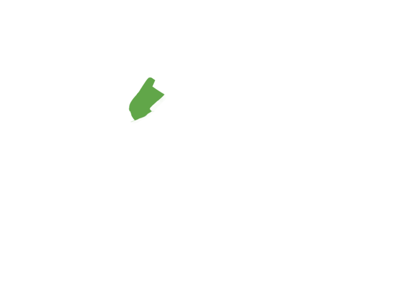LIME LEATHER