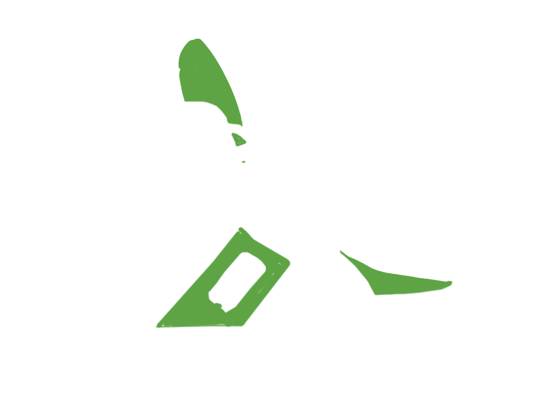 LIME LEATHER