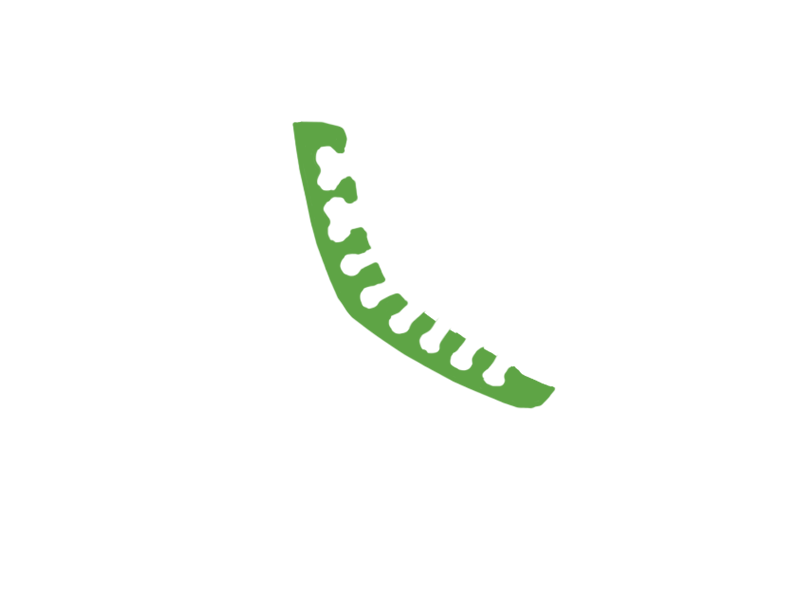 LIME LEATHER