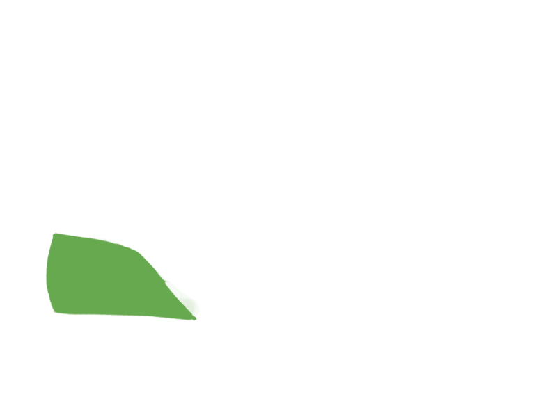 LIME LEATHER