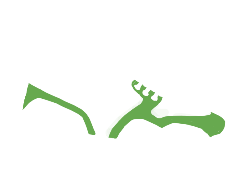LIME LEATHER