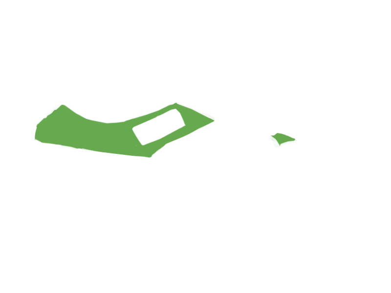 LIME LEATHER