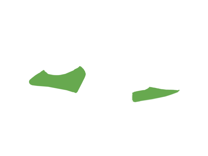 LIME LEATHER