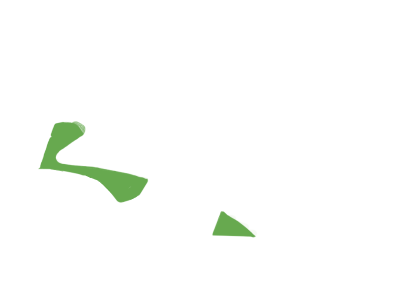 LIME LEATHER