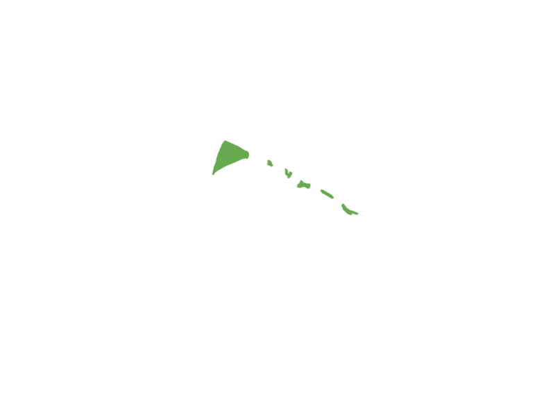 LIME LEATHER