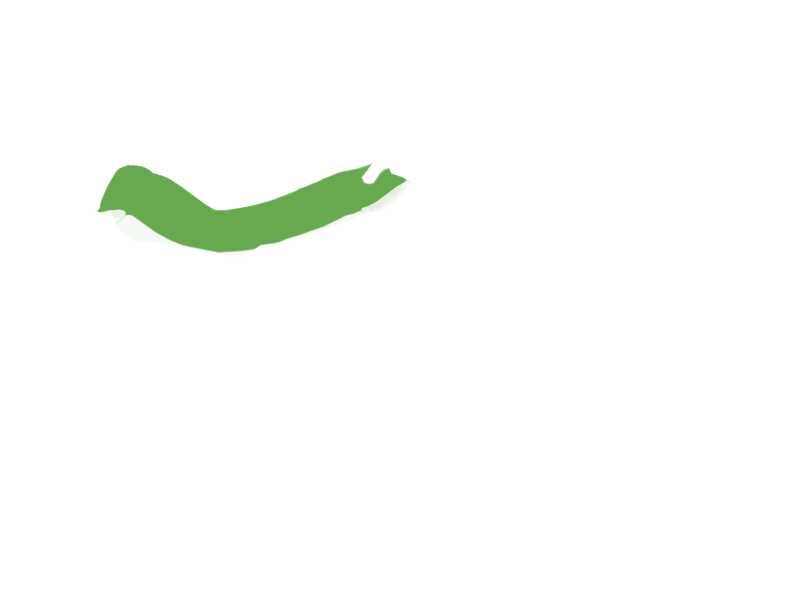 LIME LEATHER