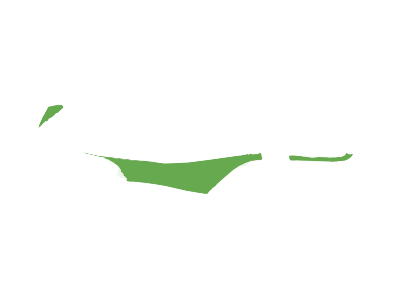 LIME LEATHER