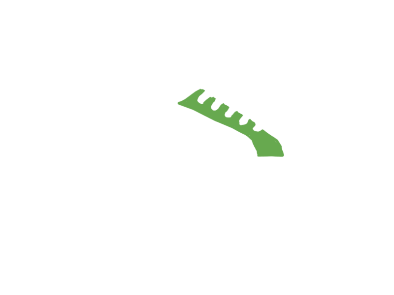 LIME LEATHER